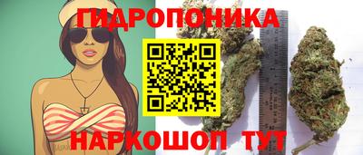 мяу мяу мука Канаш