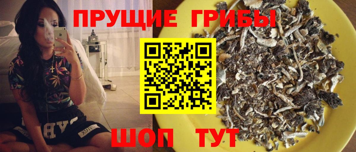 Галлюциногенные грибы GOLDEN TEACHER Лангепас